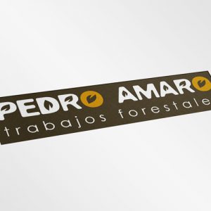 Logotipo Pedro Amaro